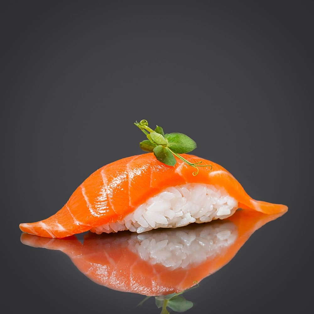 Salmon